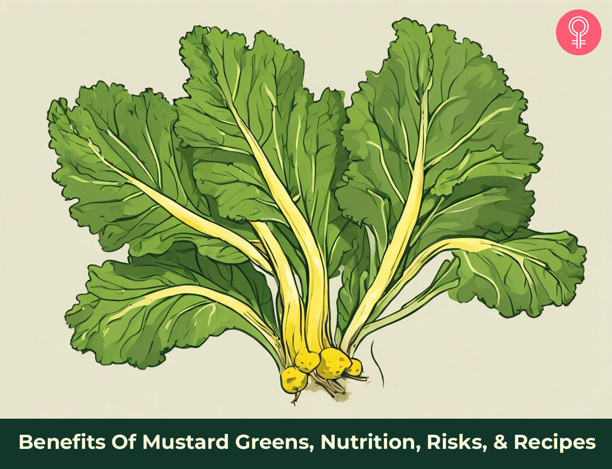 mustard greens benefits_illustration
