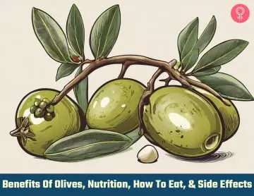 benefits of olives_illustration
