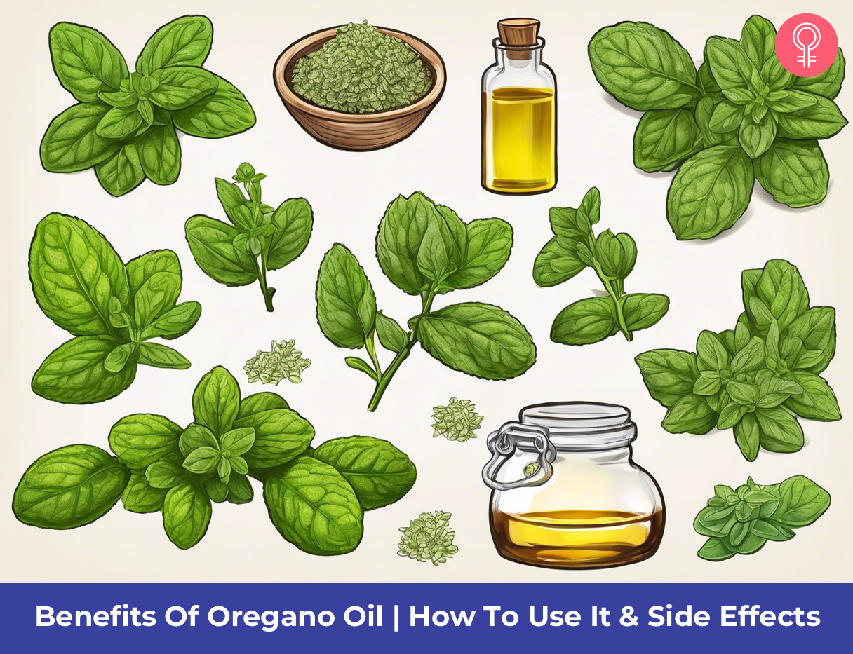 oregano essential oil benefits_illustration