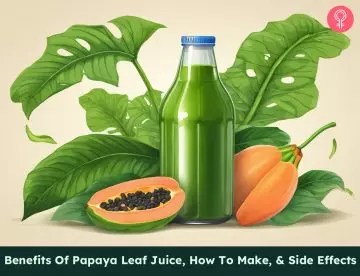 papaya leaf juice_illustration