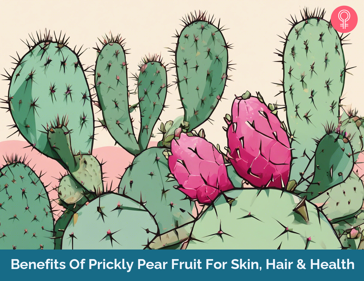 prickly pear benefits_illustration
