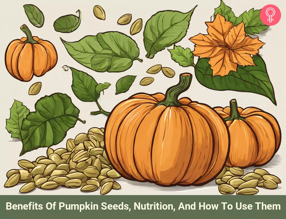 pumpkin seeds benefits_illustration