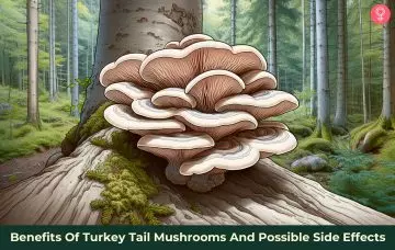 Benefits of turkey tail mushrooms