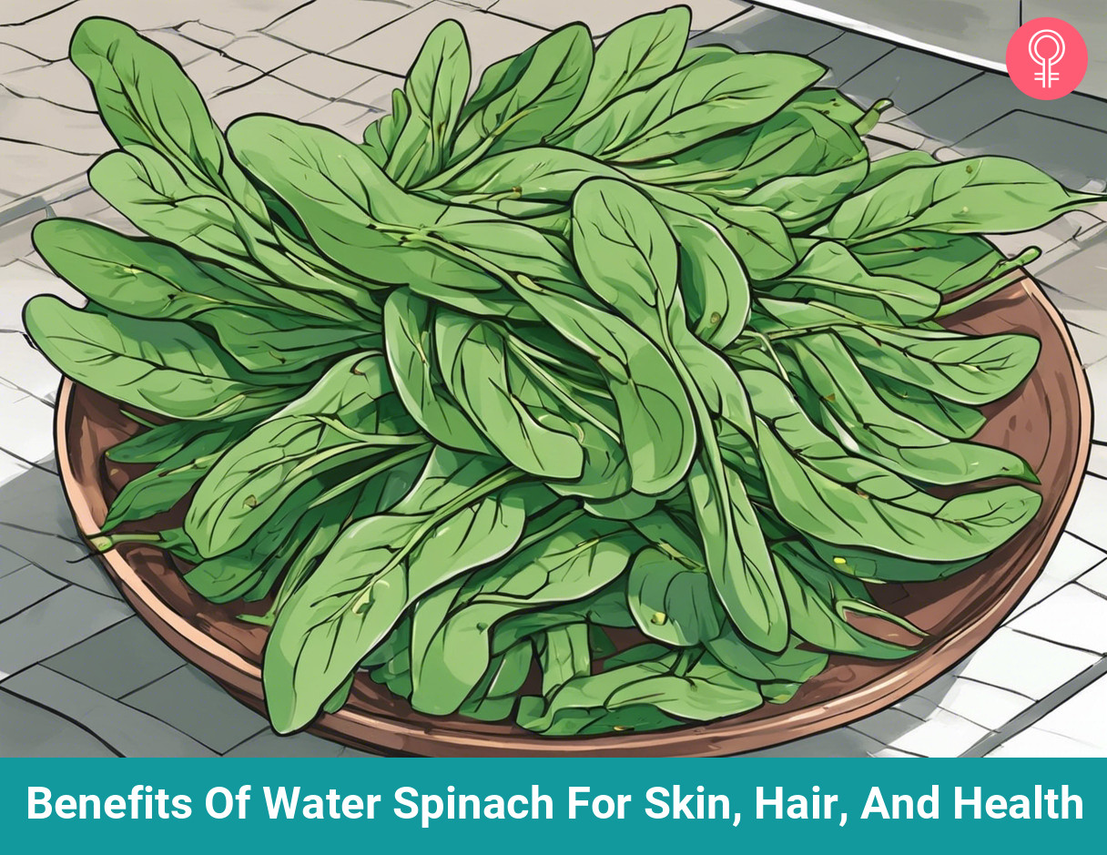 water spinach_illustration