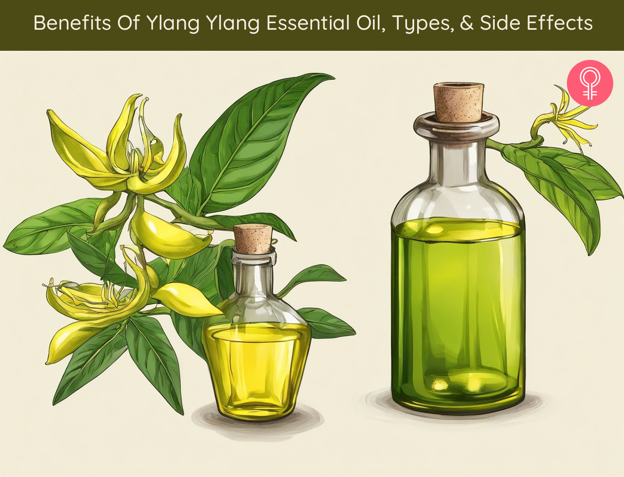 ylang ylang essential oil benefits_illustration