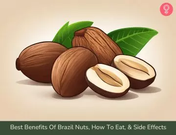 Brazil nuts benefits_illustration