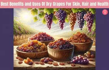 dry grapes_illustration