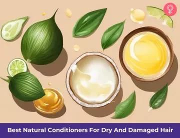 conditioners for dry hair