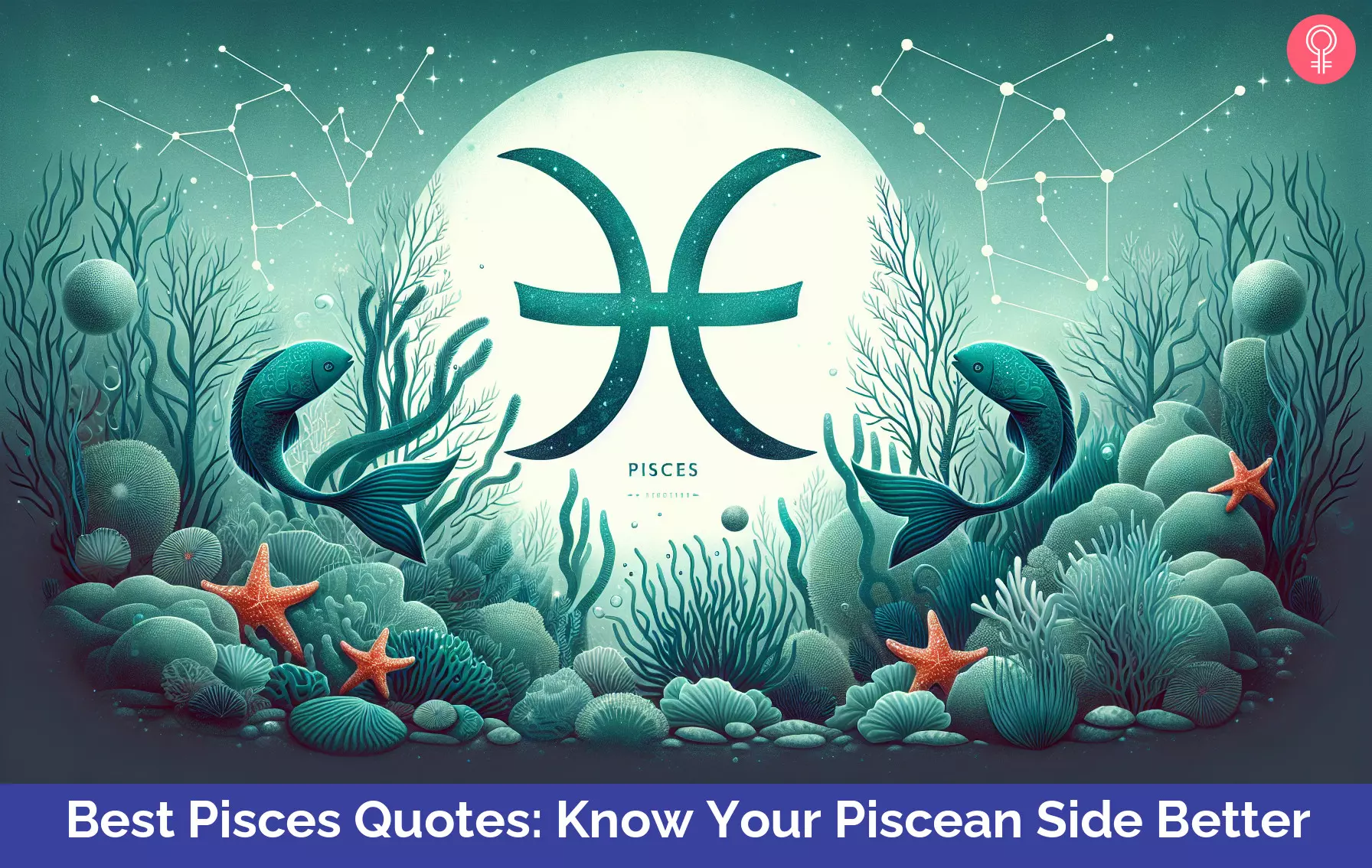 pisces quotes_illustration