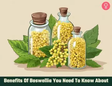 boswellia benefits_illustration