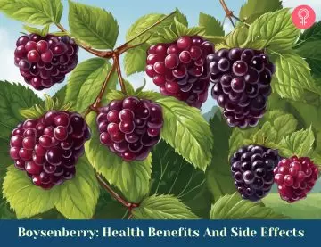 boysen berry benefits