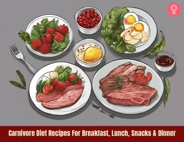 Carnivore Diet Recipes_illustration