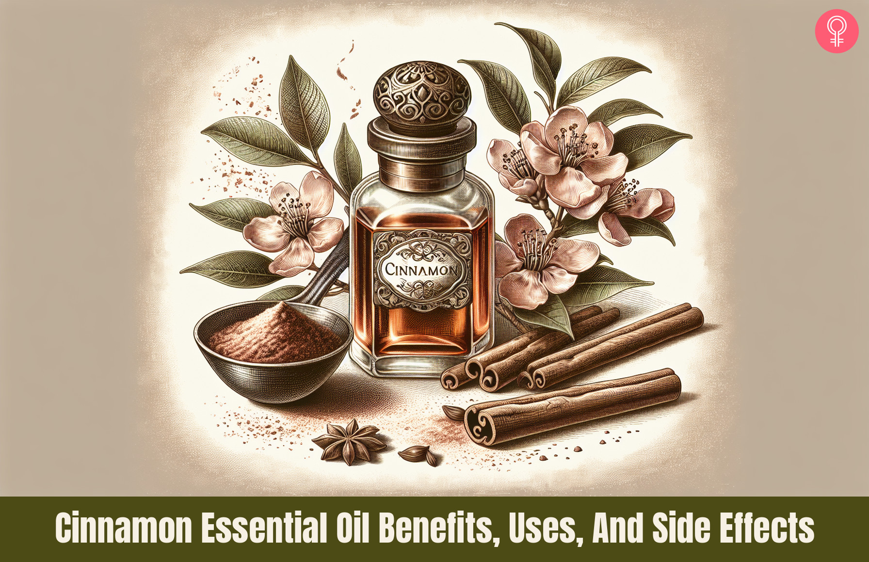 cinnamon essential oil_illustration