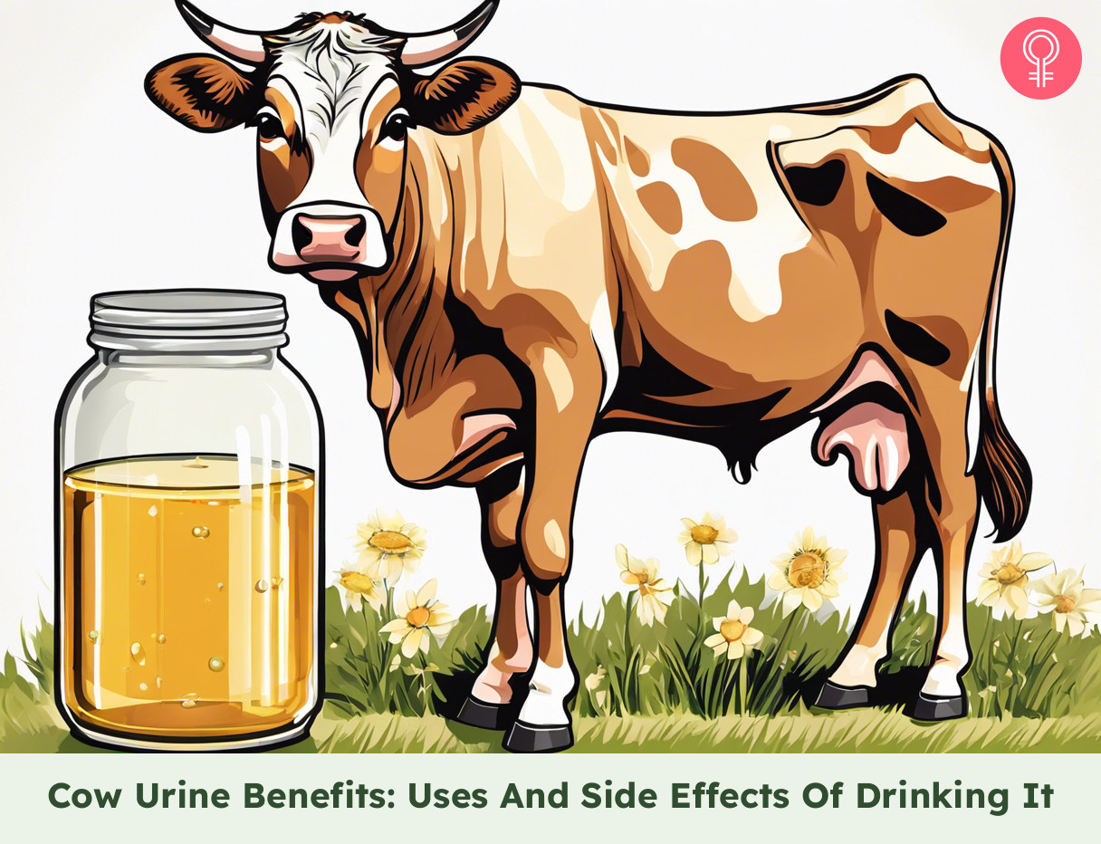 cow urine benefits