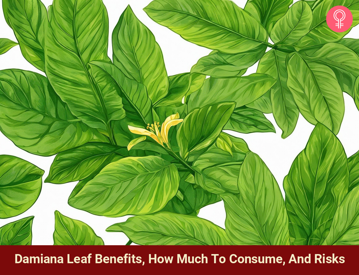 damiana leaf benefits