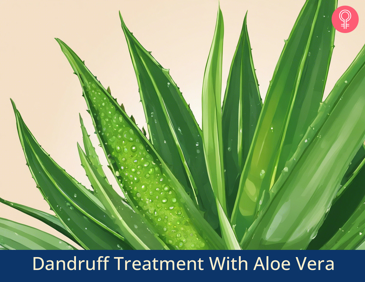 Aloe Vera Work For Dandruff