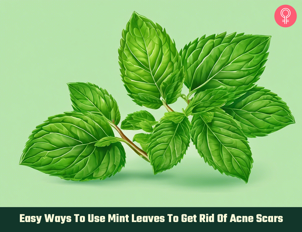 mint leaves for acne scars
