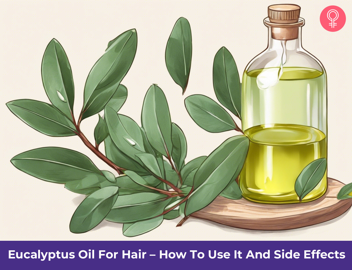 Eucalyptus Oil For Hair_illustration