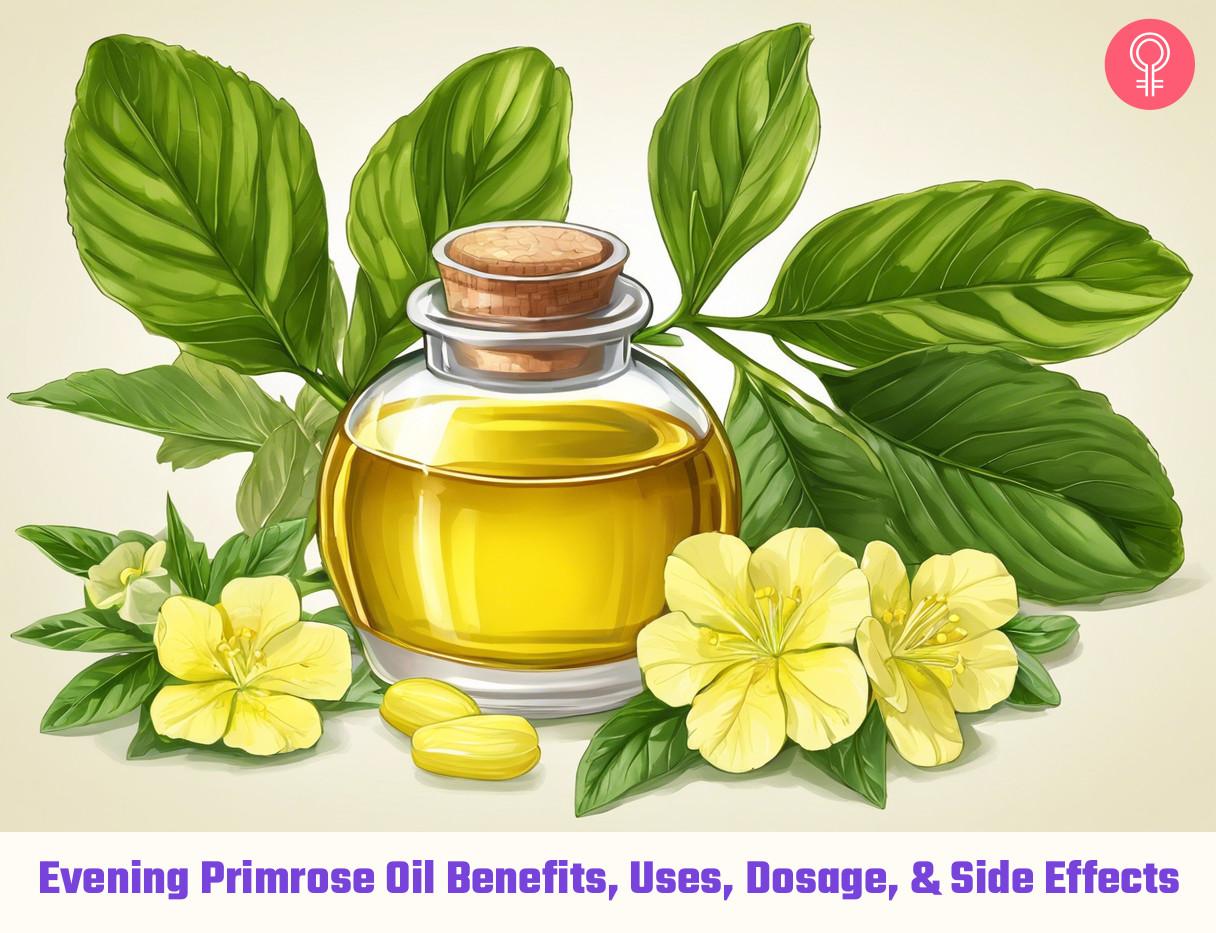 Evening Primrose Oil Benefits, Uses, Dosage, & Side Effects