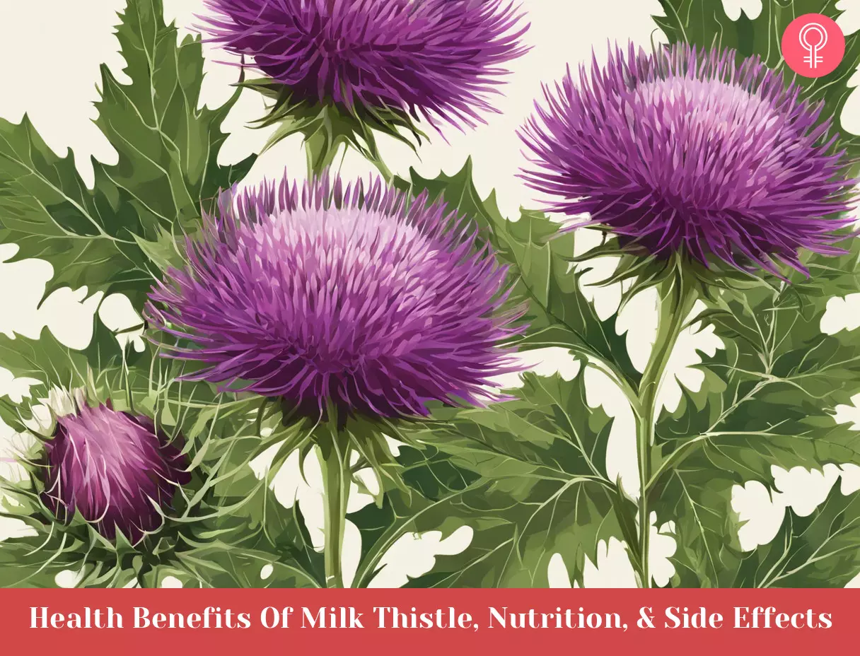 milk thistle benefits