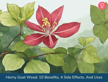horny goat weed benefits