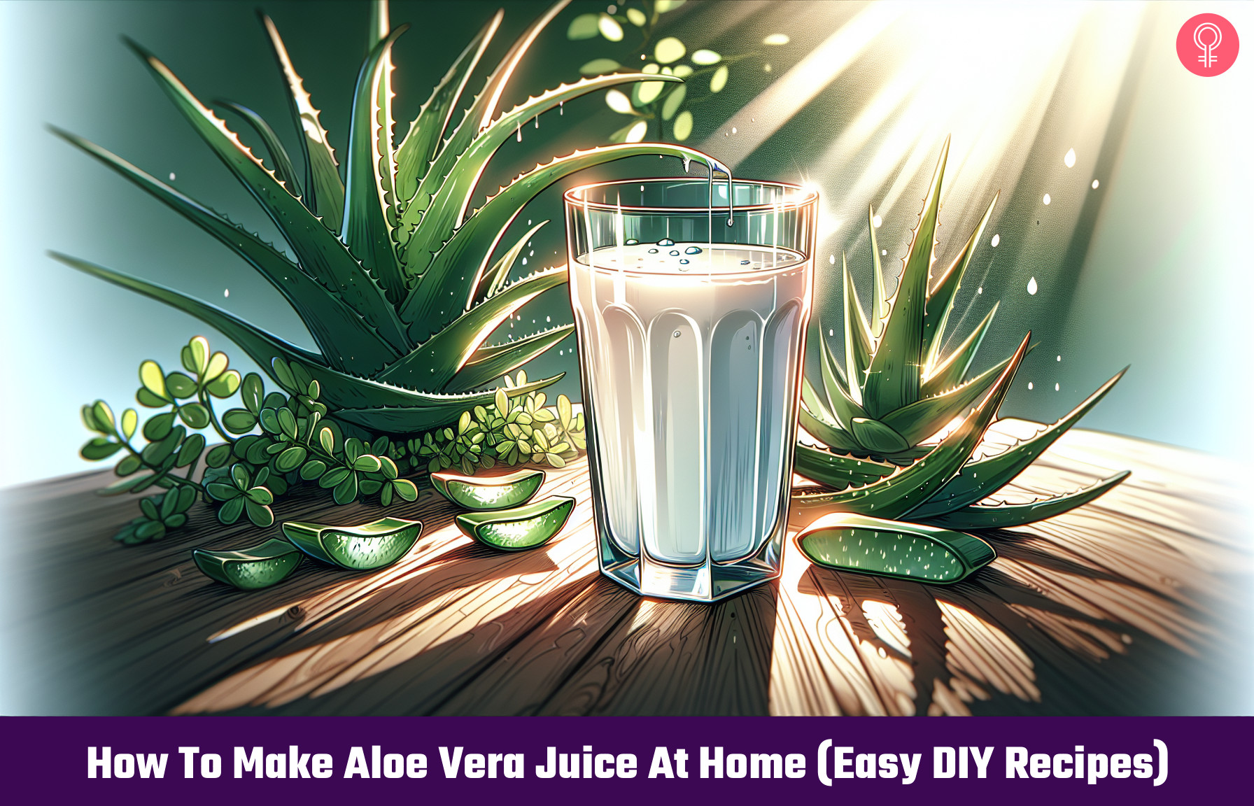 how to make aloe vera juice