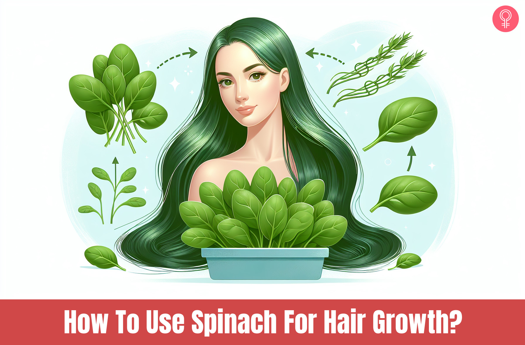 Spinach For Hair Growth_illustration