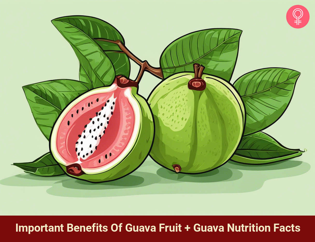 guava fruit benefits_illustration