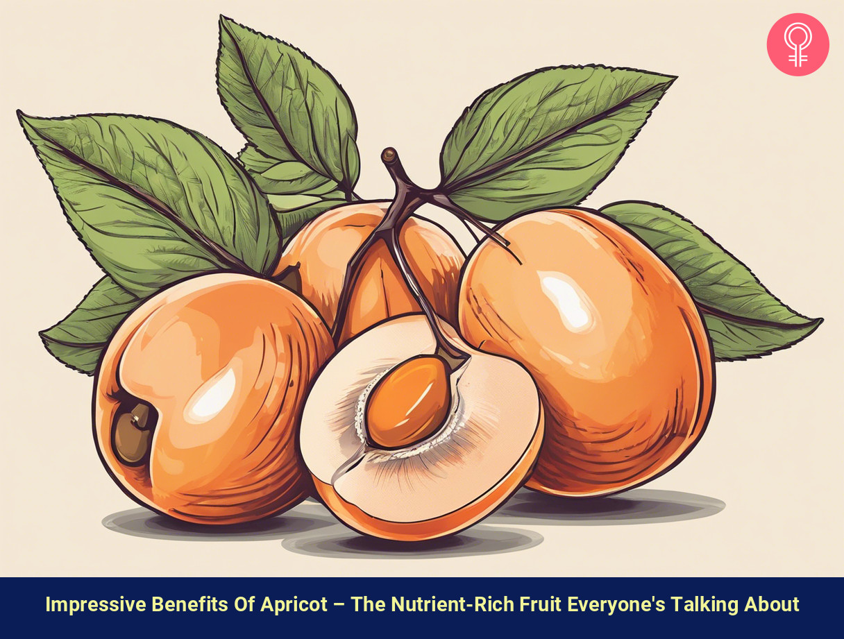 apricot benefits_illustration