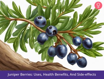 Juniper Berries Benefits