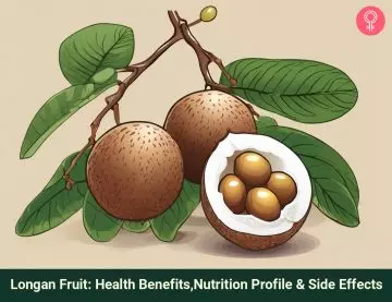 longan fruit benefits_illustration