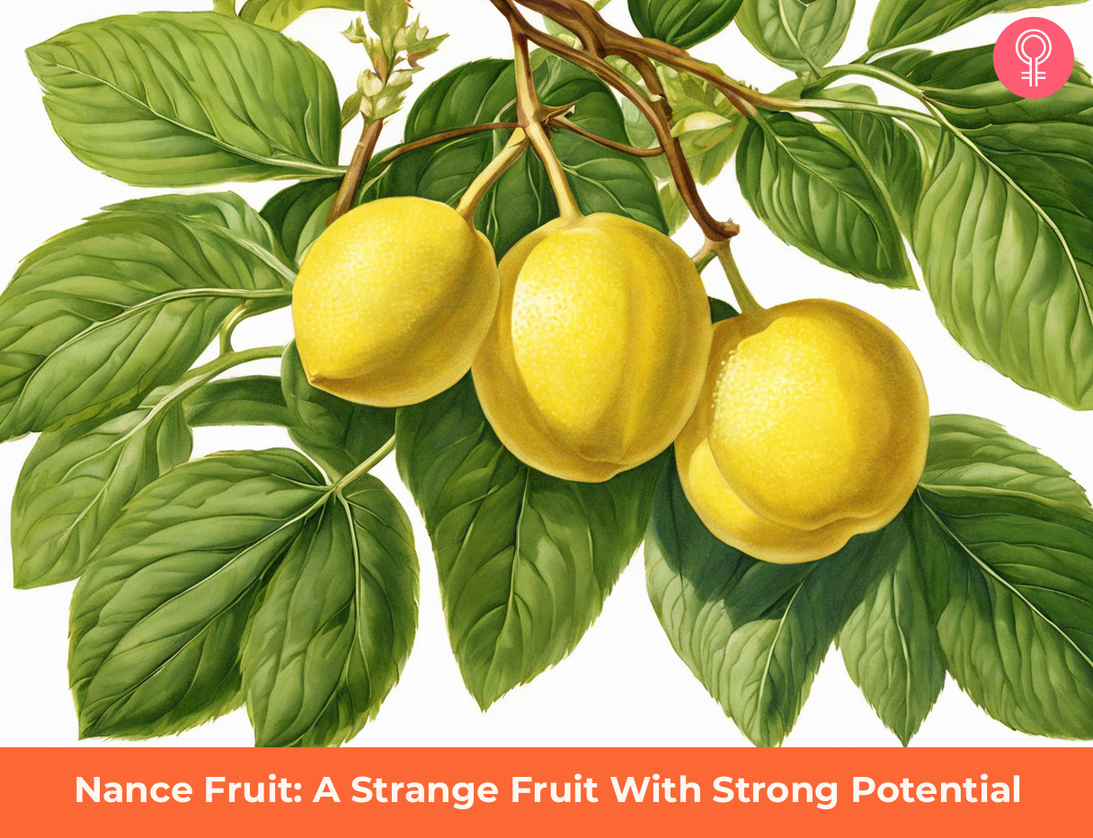 Nance Fruit Benefits