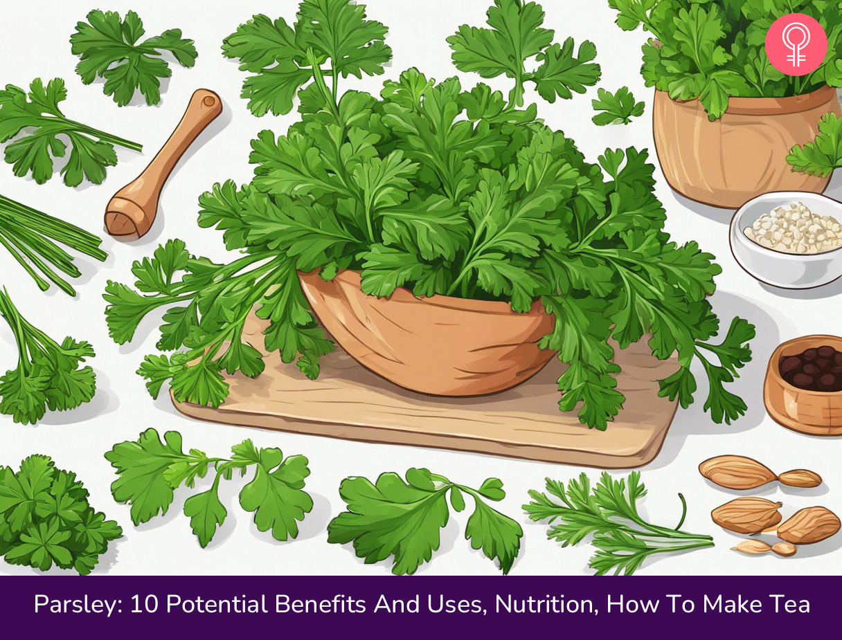 parsley benefits_illustration