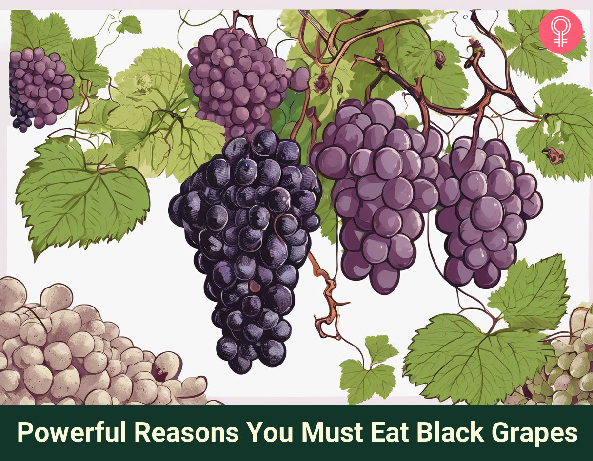 black grapes benefits_illustration
