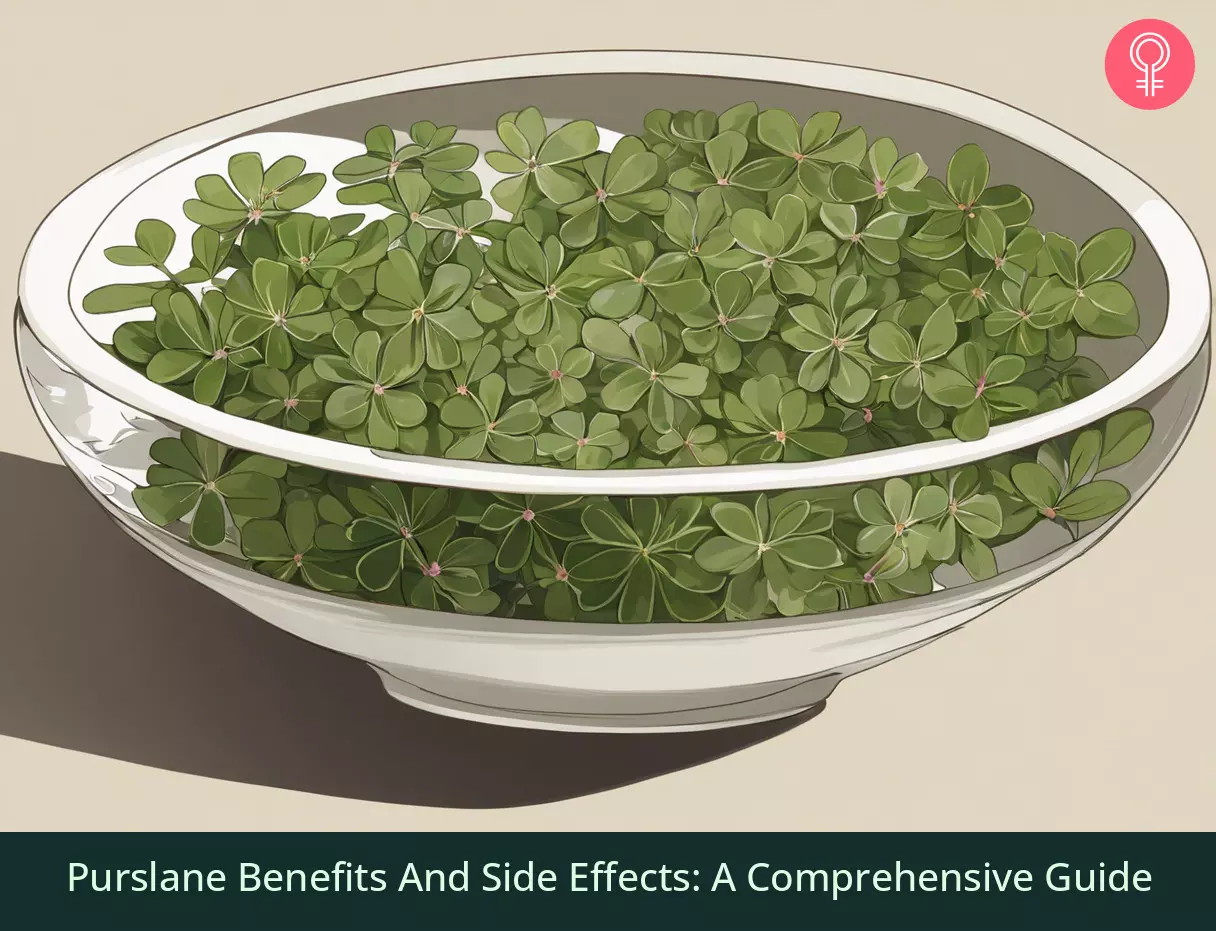 Purslane Benefits