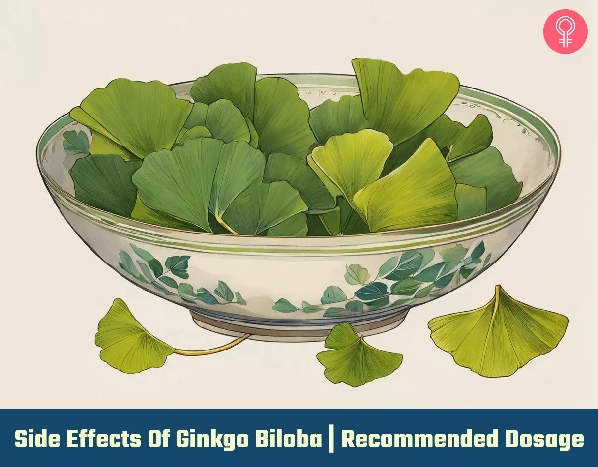 ginkgo biloba side effects