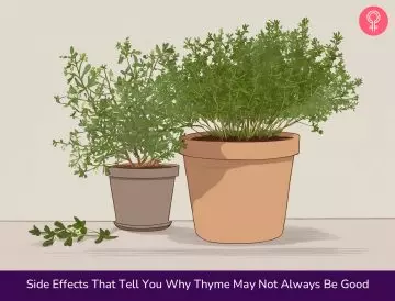 side effects of thyme