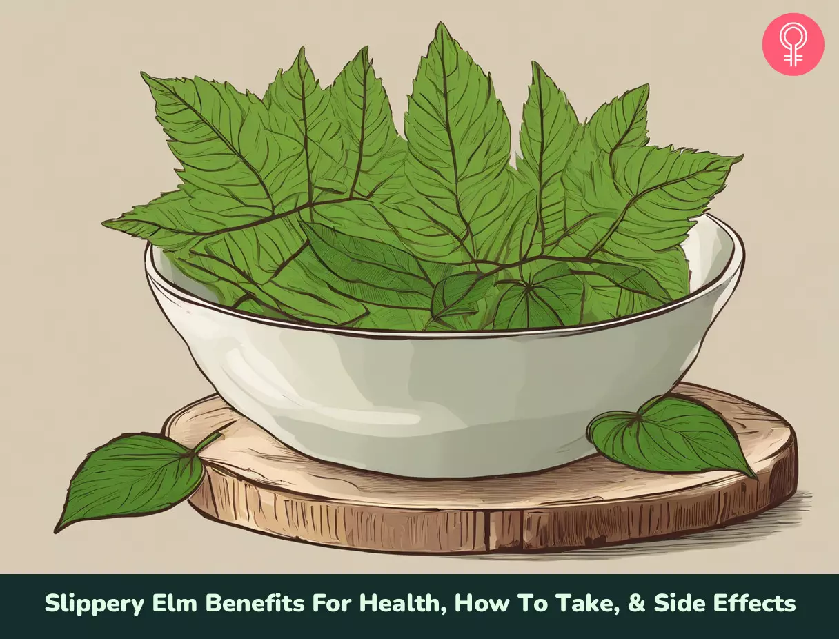 slippery elm benefits