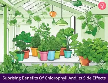 chlorophyll benefits_illustration