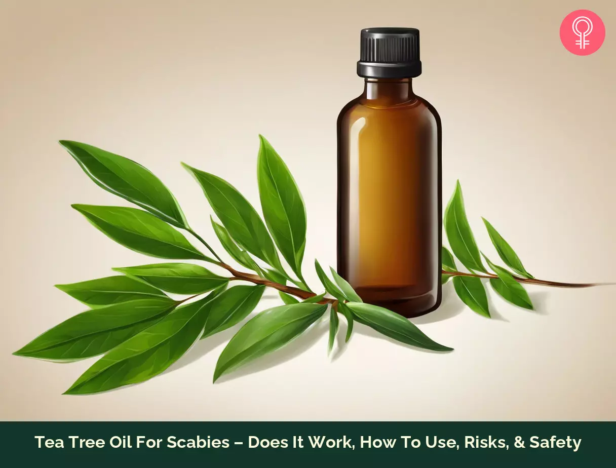 Tea Tree Oil For Scabies – Does It Work How To Use Risks & Safety tea tree oil for scabies