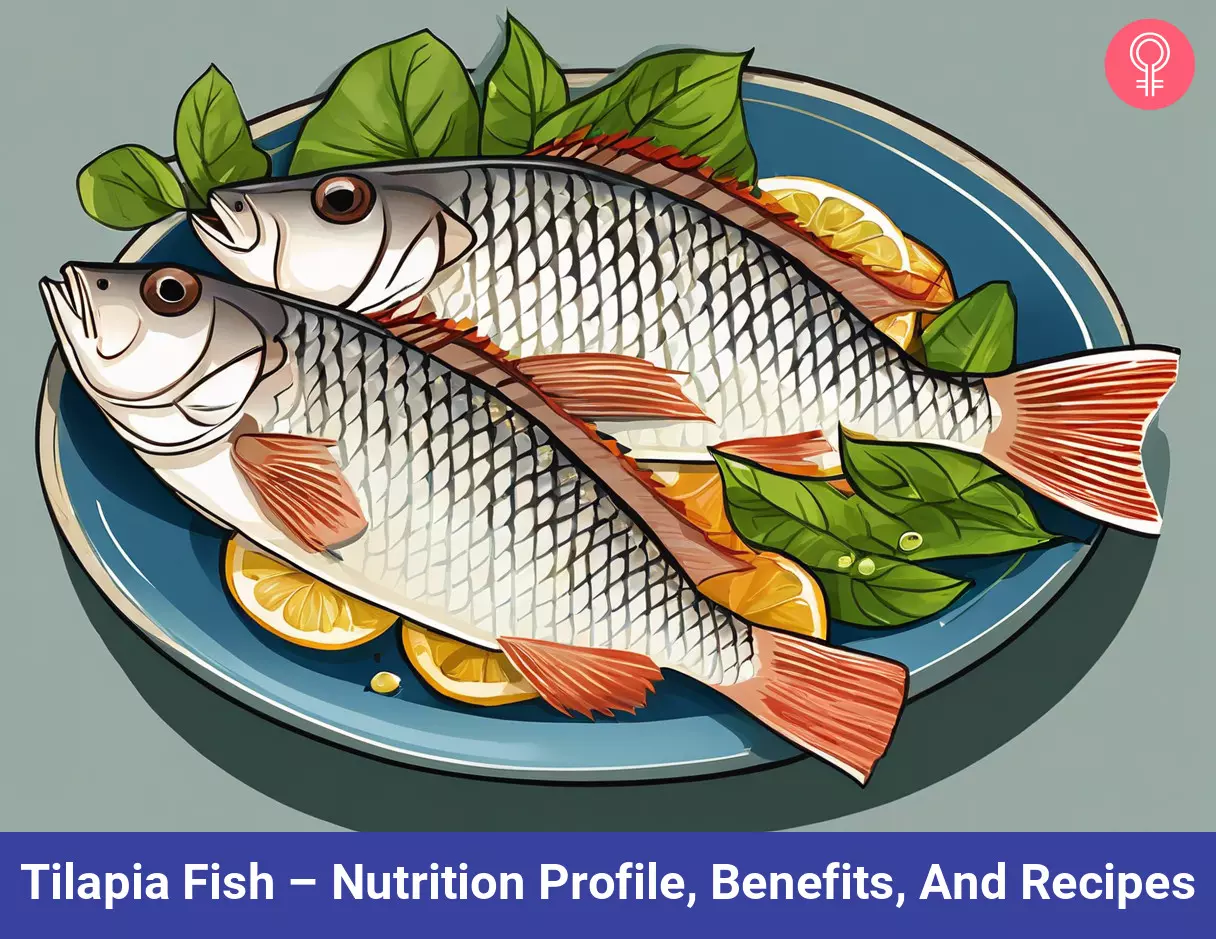 Tilapia Fish – Nutrition Profile Benefits And Recipes tilapia fish benefits