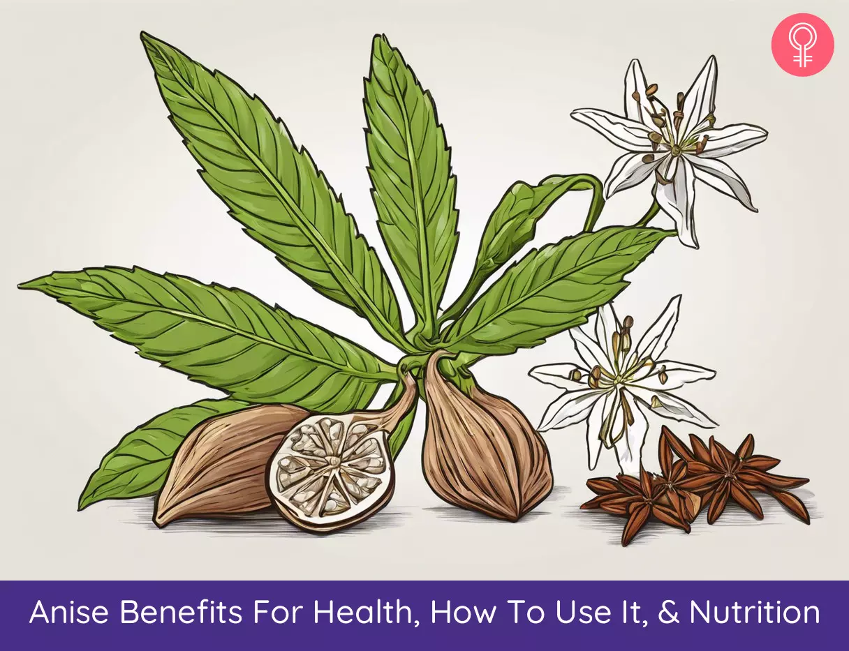 anise benefits_illustration