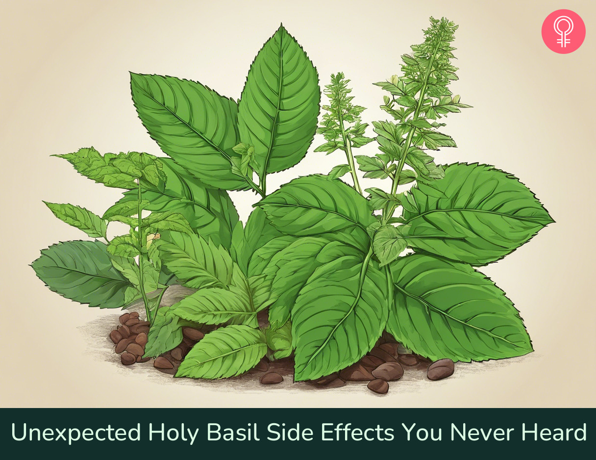 side effects of tulsi_illustration