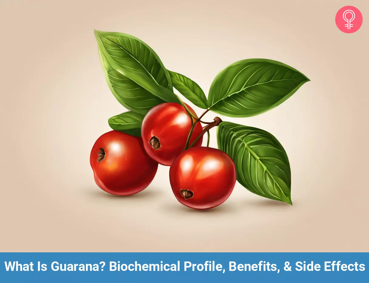 What Is Guarana Biochemical Profile Benefits Side Effects