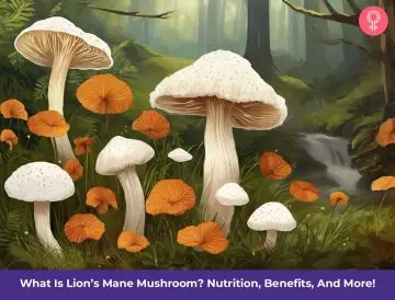 Lion's Mane Mushroom Benefits