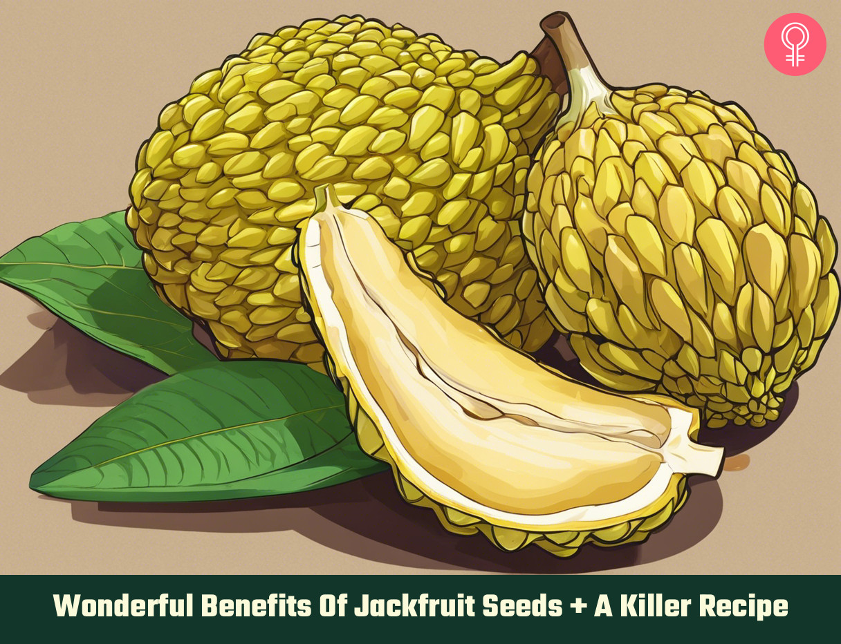 jackfruit seeds benefits_illustration